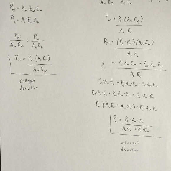 Meet your Posher, Maria - Picture 1 of 1